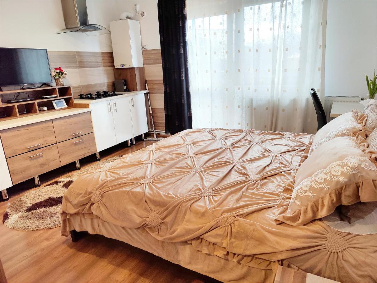 Ferienwohnung Casa De Vis Brașov Exterior foto